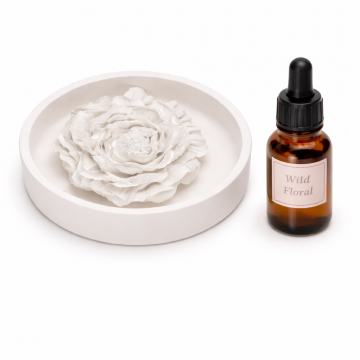 Diffuser Aroma Stone Gift Set